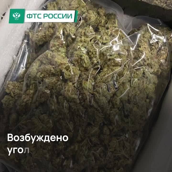 Боксерские лапы с марихуаной нашли таможенники в посылке из Таиланда