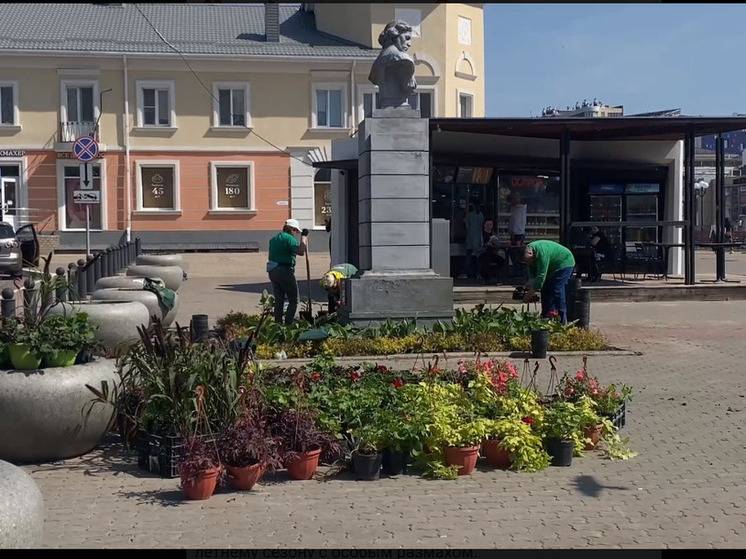 Белгород украшают цветами к лету