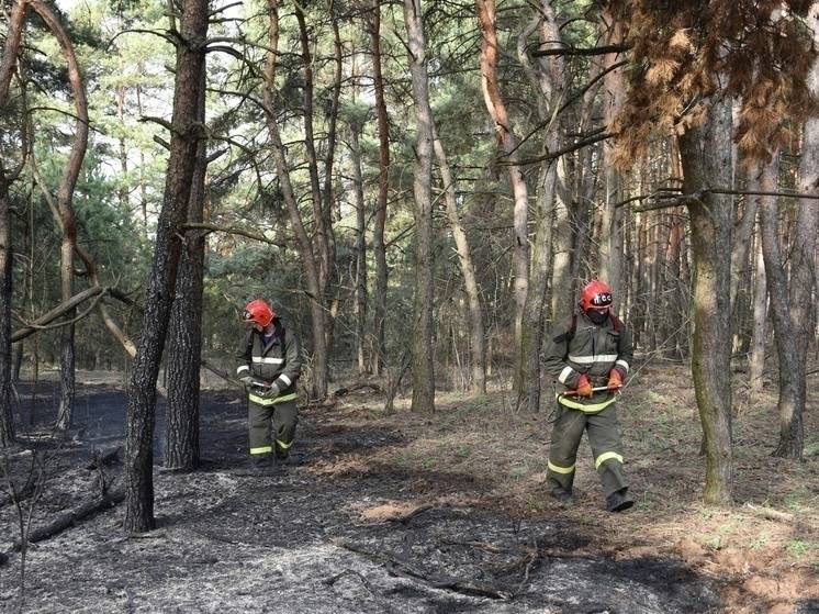 Белгородцев предупредили о чрезвычайной пожароопасности