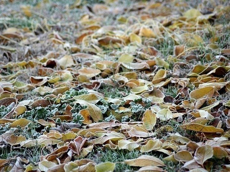 Белгородцев предупредили о заморозках до -5°