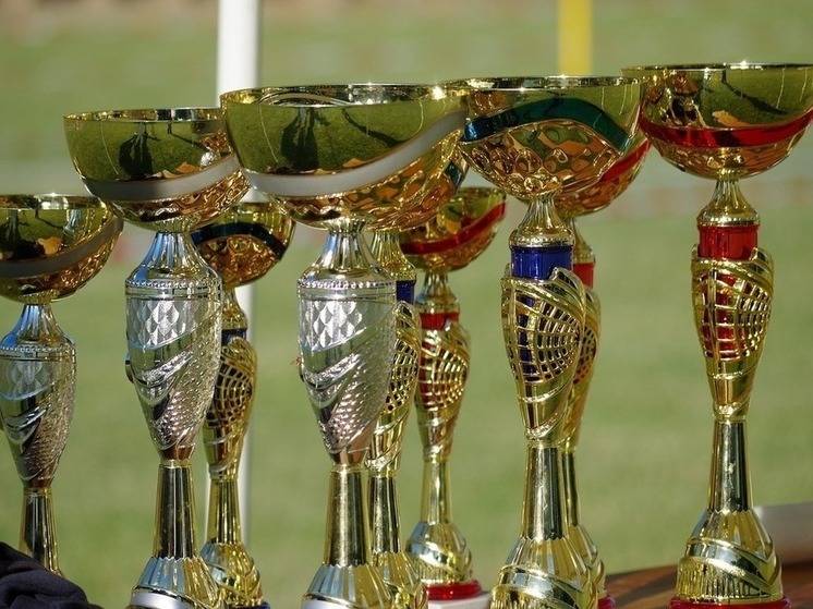 Белгородцы выиграли медали Кубка России по айкидо