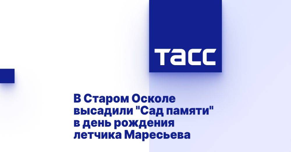 "Сад памяти" высадили в Старом Осколе в день рождения летчика Маресьева