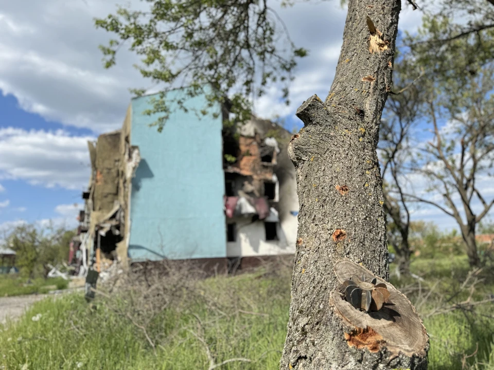 Часть жителей села в Белгородской области остались без света после обстрела ВСУ0