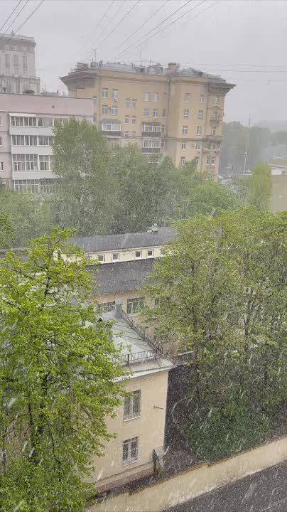 Новости к этому часу:. В Москве снова прошёл майский снегопад, сопровождающийся сильным ветром. Тёплая погода вернётся в столичный регион в середине месяца, говорят синоптики