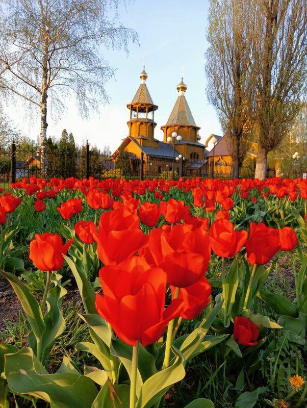   Погода 9 мая. В Белгородской области ясно. Температура воздуха сейчас +5°, днём поднимется до +10°