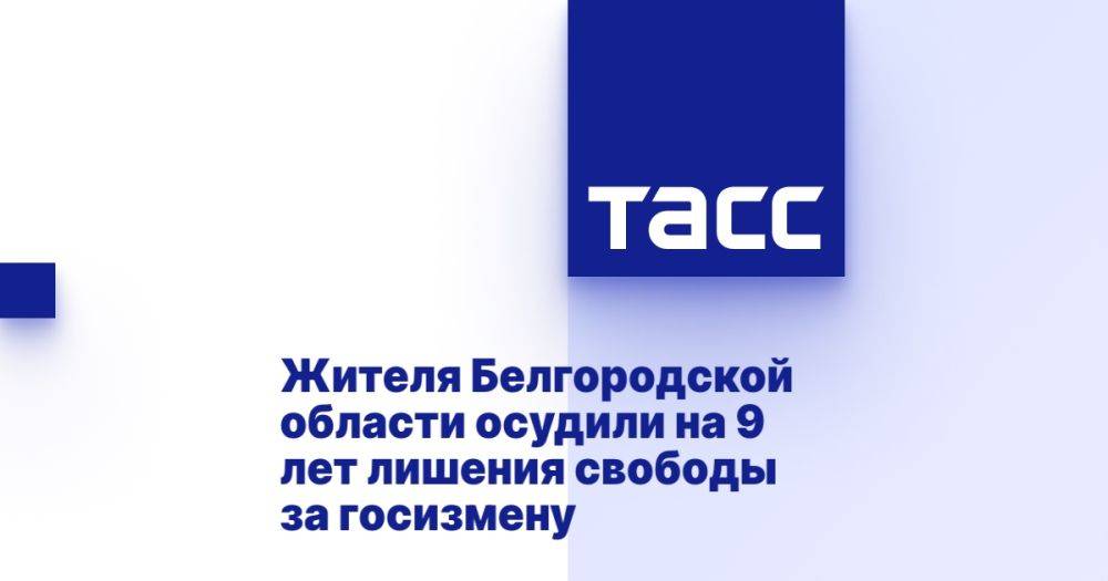 Жителя Белгородской области осудили на 9 лет лишения свободы за госизмену