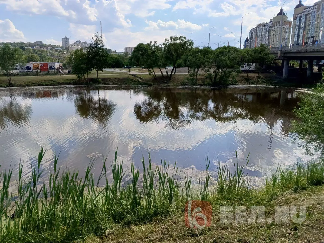 Левый и правый берега Северного Донца