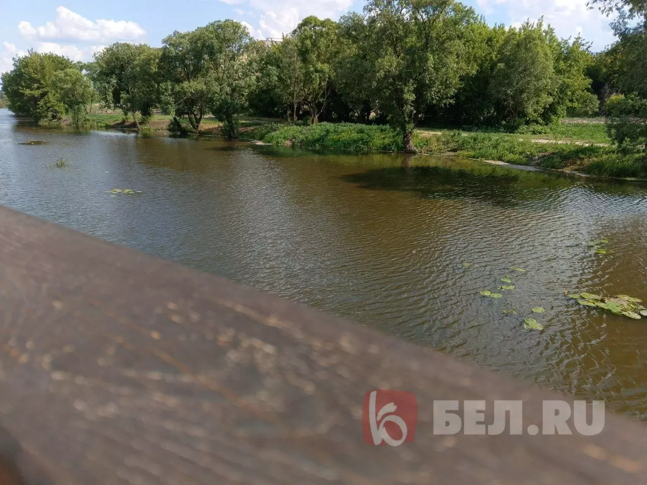 В парке "Берега" в Белгороде