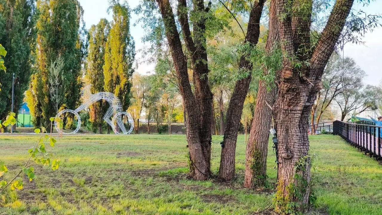 Пришла из русской сказки. На белгородской набережной появилась Царевна-лягушка24