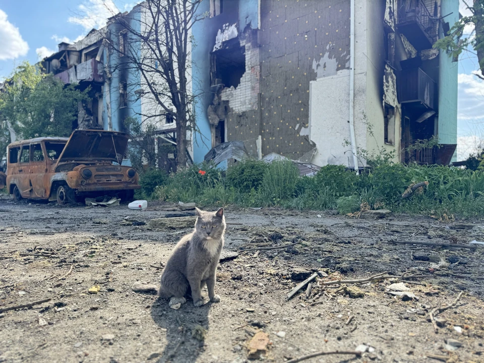 Сельхозпредприятие и ЛЭП повреждены при атаке ВСУ по белгородскому селу0