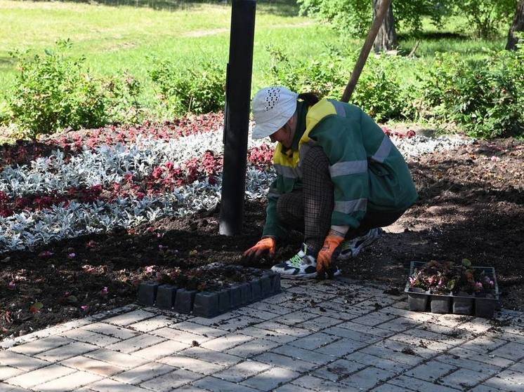 В Белгороде у достопримечательностей и памятников высаживают цветы