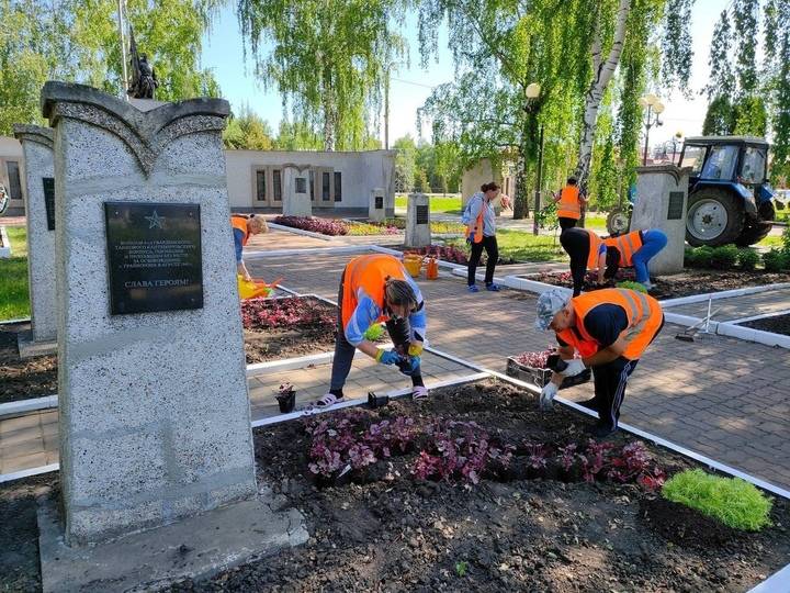 В Грайвороне у мемориального комплекса и памятника воинам-землякам высадили цветы2