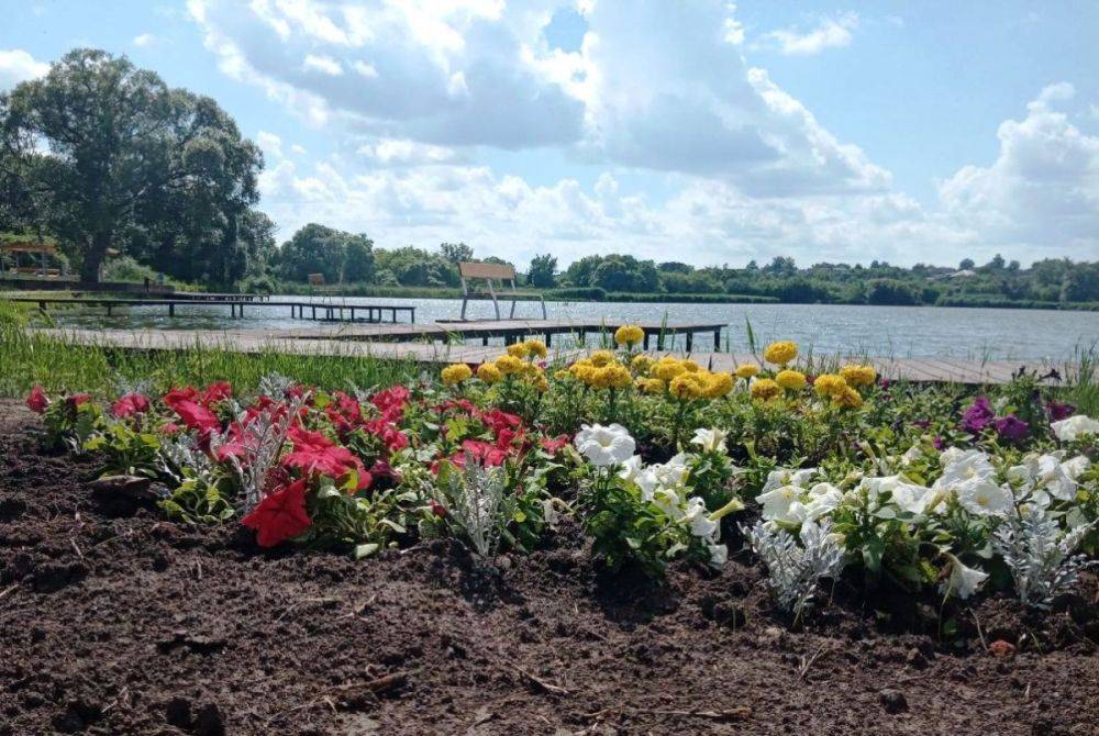 Новую набережную в посёлке Ракитное Белгородской области украсили однолетними цветами