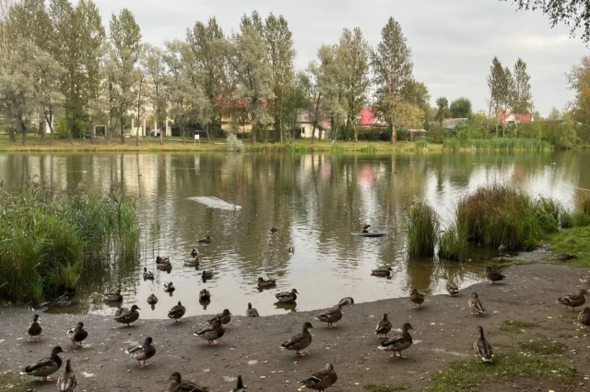 В Белгородской области за неделю в водоёмах утонули два жителя0