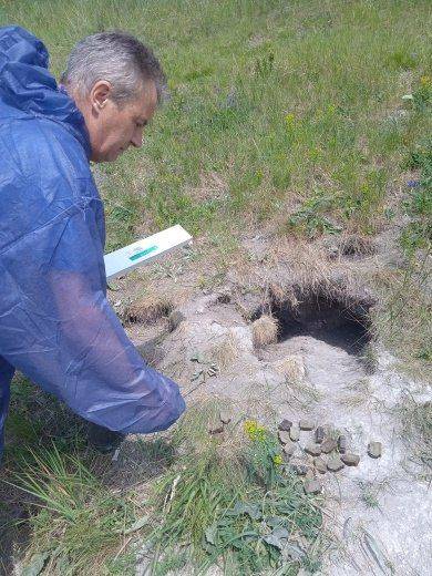 В Белгородской области завершился весенний этап вакцинации диких плотоядных животных против бешенства