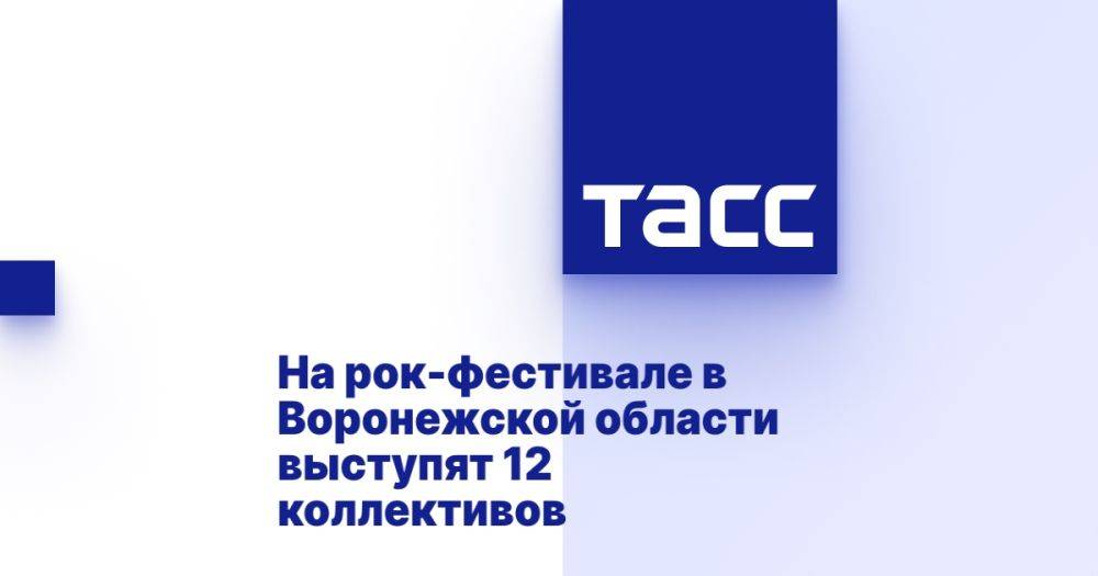 На рок-фестивале в Воронежской области выступят 12 коллективов