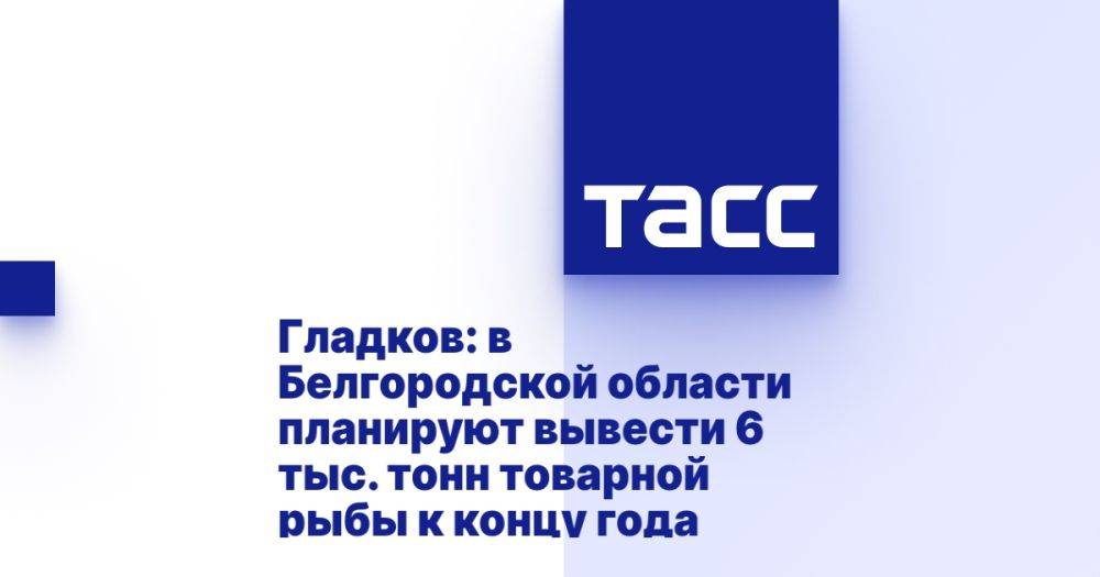 Гладков: в Белгородской области планируют вывести 6 тыс. тонн товарной рыбы к концу года