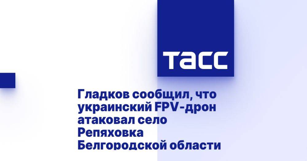 Гладков сообщил, что украинский FPV-дрон атаковал село Репяховка Белгородской области