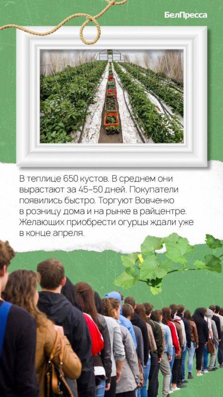 2,5 года назад Анастасия, её муж Павел и двое их детей-школьников жили в подмосковном Подольске