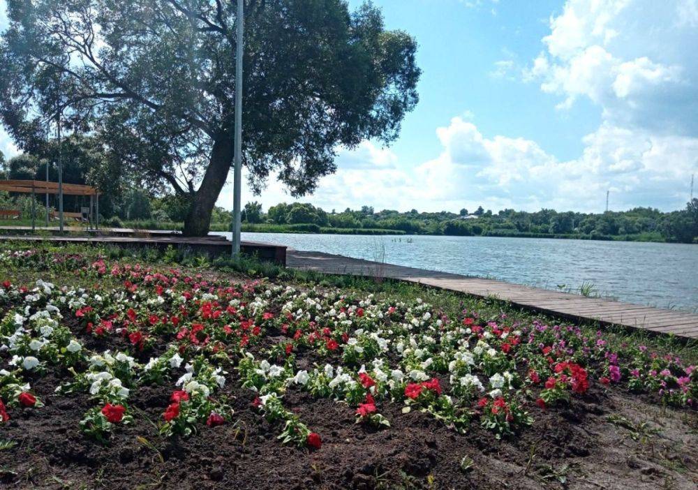 Новую набережную в посёлке Ракитное Белгородской области украсили однолетними цветами