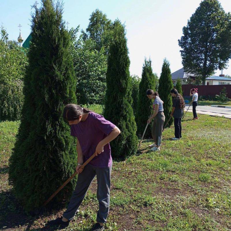 646 подростков трудоустроились на время летних каникул в Ракитянском районе Белгородской области