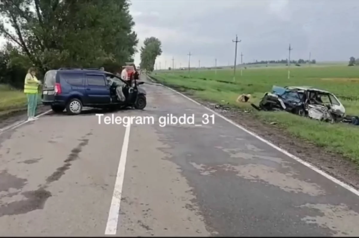 ДТП под Белгородом, в котором погибли три жителя, случилось из-за ливня0