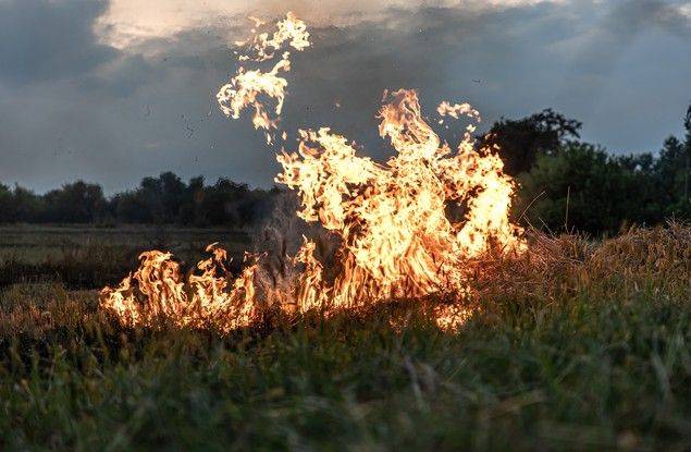 19 июня на территории Белгородской области есть риск возникновения и развития природных пожаров