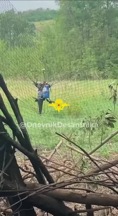 В районе Белгородской границы наши бойцы птичку поймали