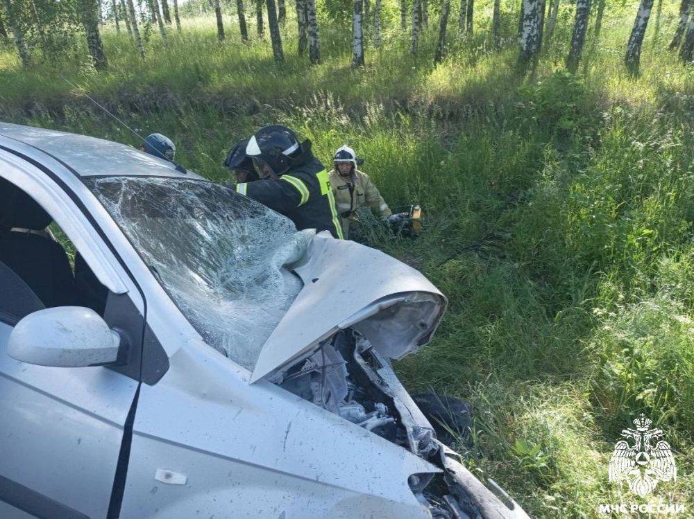 Сотрудники МЧС России с помощью ГАСИ извлекли пострадавшего в ДТП водителя