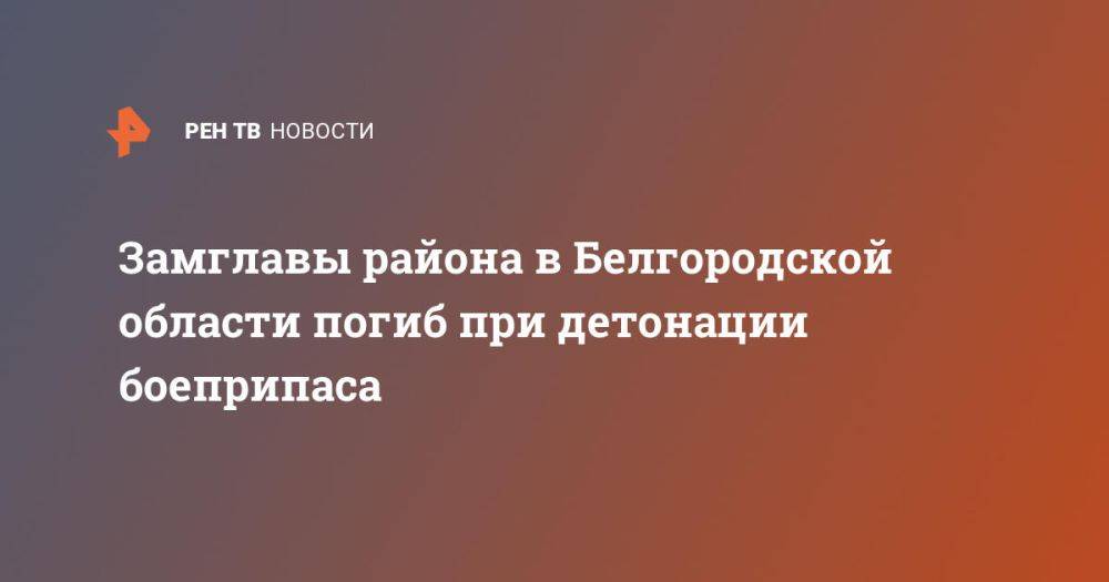 Замглавы района в Белгородской области погиб при детонации боеприпаса