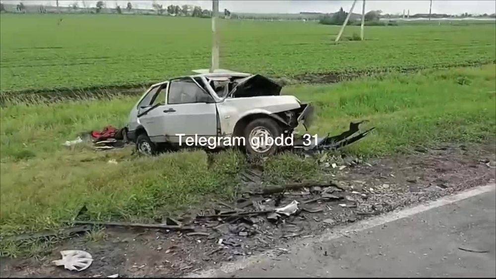 В Белгородской области сотрудниками полиции устанавливаются обстоятельства ДТП, в котором погибли 3 человека