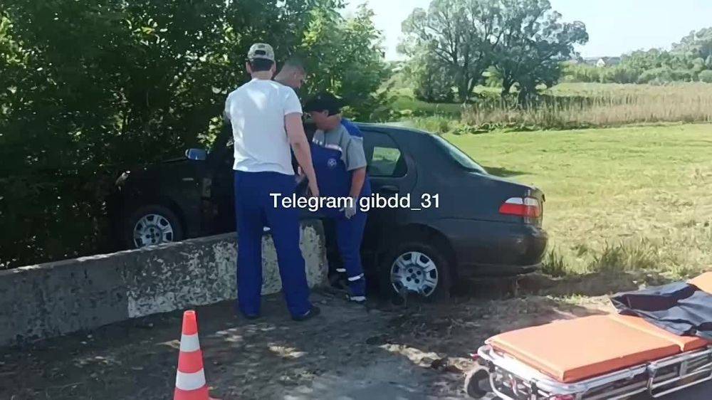 #СВОДКА_ДТП. По предварительным данным в Алексеевском городском округе, около 08 часов 20 минут, 70-летний мужчина, управляя...