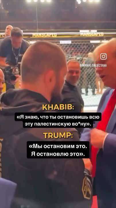 Марина Ахмедова: Спортсмен Хабиб Нурмагомедов просит Трампа - "Станешь президентом, останови войну в Палестине"