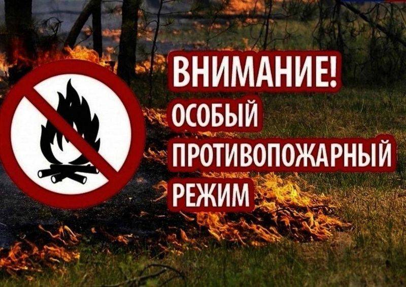 На территории Белгородской области продлён особый противопожарный режим