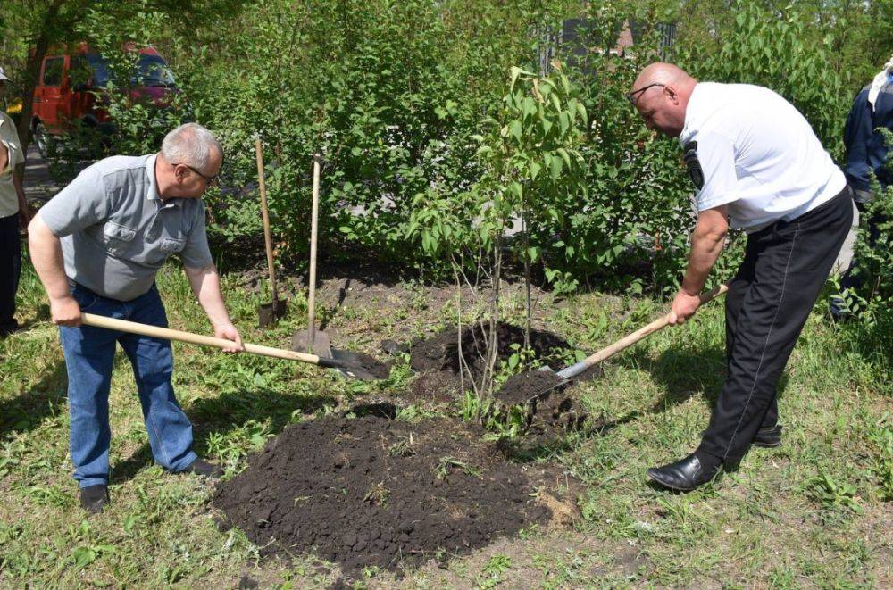 В канун Всемирного дня окружающей среды в Белгородской области подвели итоги экологического флешмоба