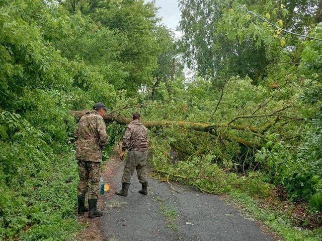 В Белгородской области во время непогоды повреждения получили 100 жилых домов