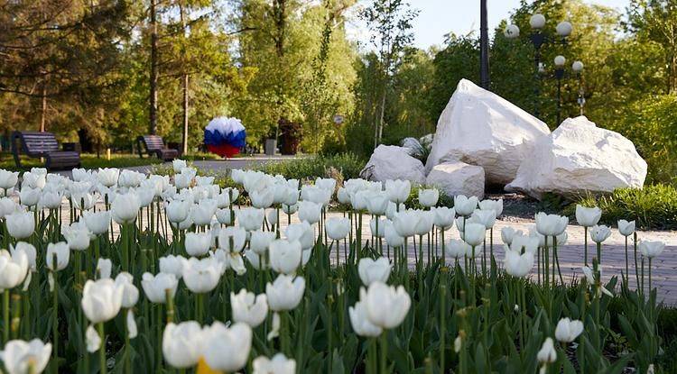 Белгородцы победили в двух номинациях международного конкурса «Путешествуй больше!»