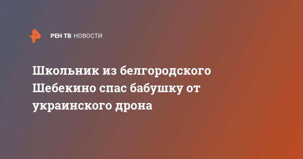 Школьник из белгородского Шебекино спас бабушку от украинского дрона