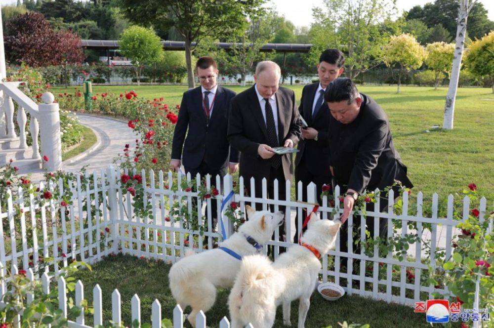 Новости к этому часу:. Беспилотник упал на частный дом в Славянске-на-Кубани Краснодарского края. Погибла женщина. Кроме...