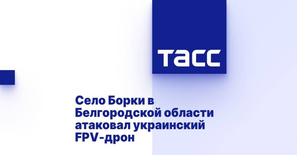 Село Борки в Белгородской области атаковал украинский FPV-дрон