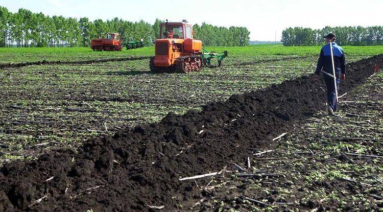 В Белгородской области завершили посевную кампанию