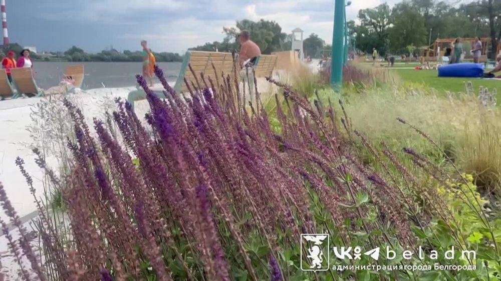 В Белгороде непогода - ветер усиливается