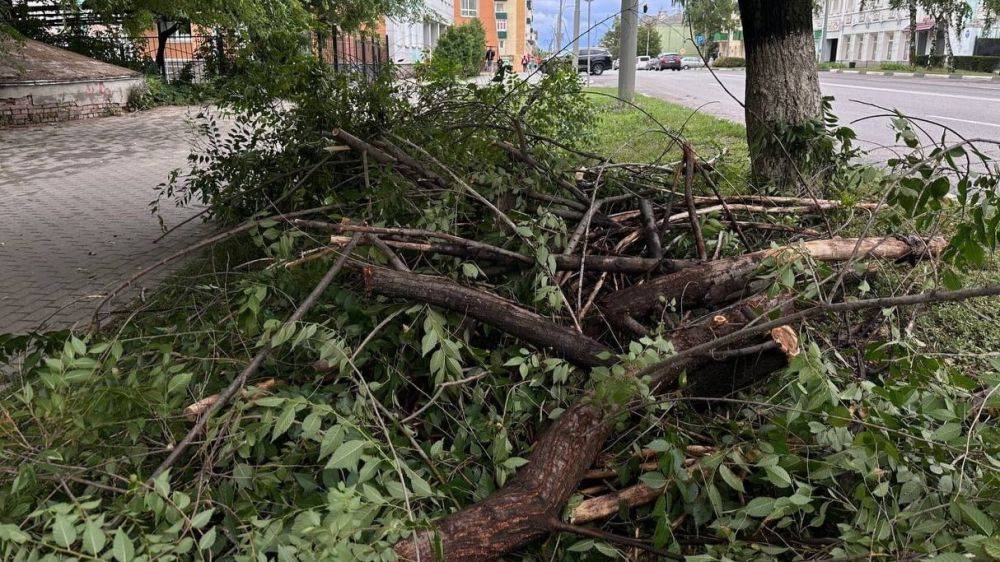 После урагана в Грайворонском округе без света остаётся четыре тысячи человек