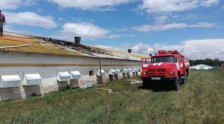 За сутки ВСУ атаковали 7 районов Белгородской области