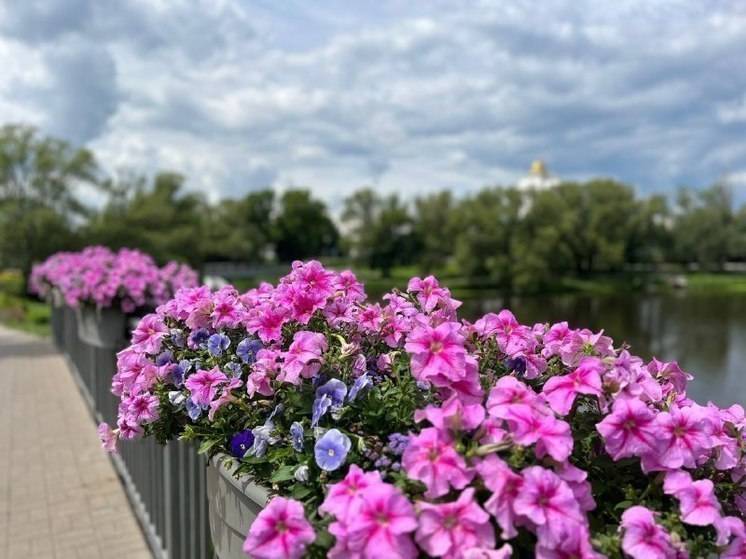 Белгородку наказали за сорванные с клумбы петунии