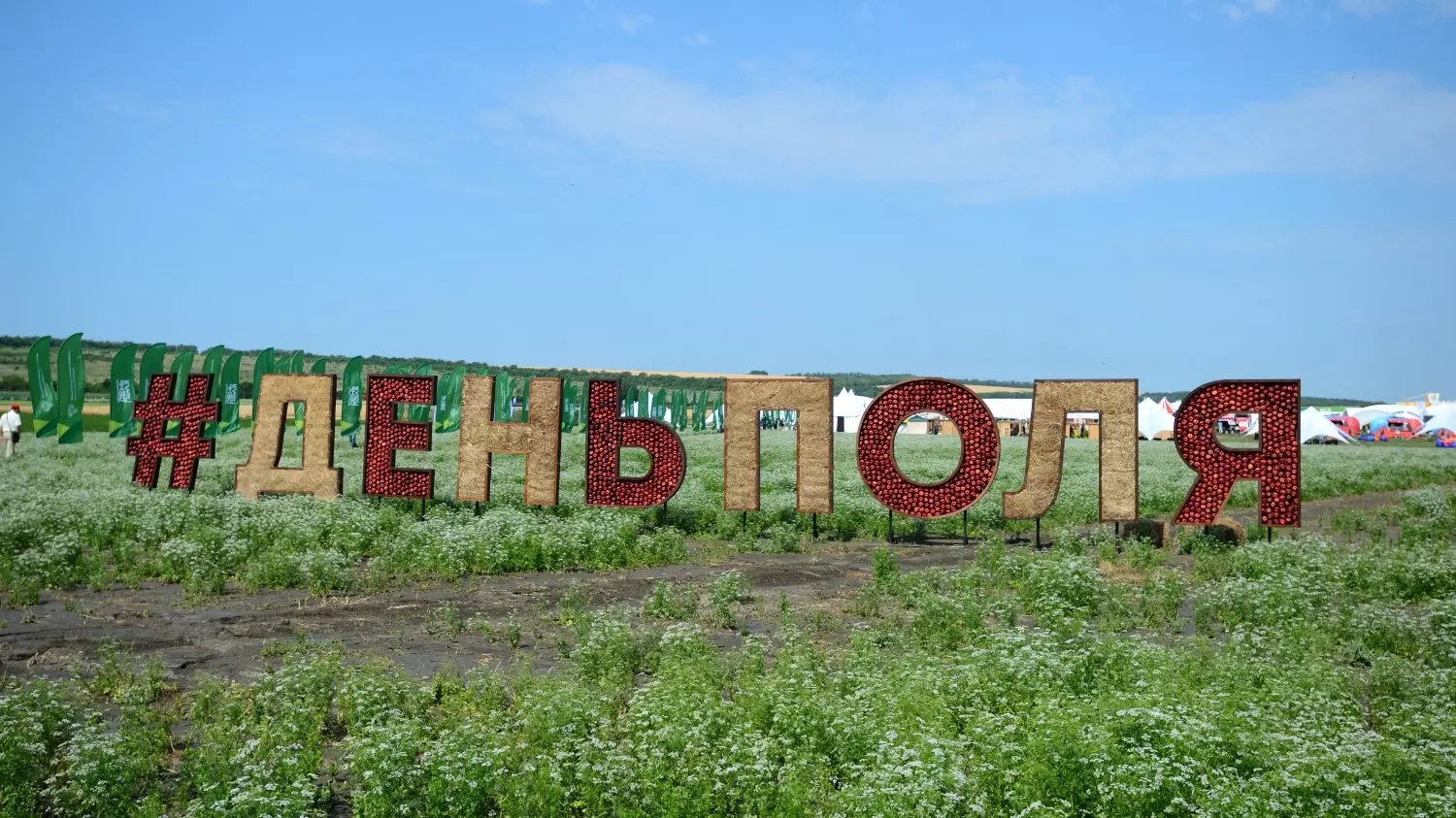 Белгородская область привезла новые технологии со Всероссийского дня поля13