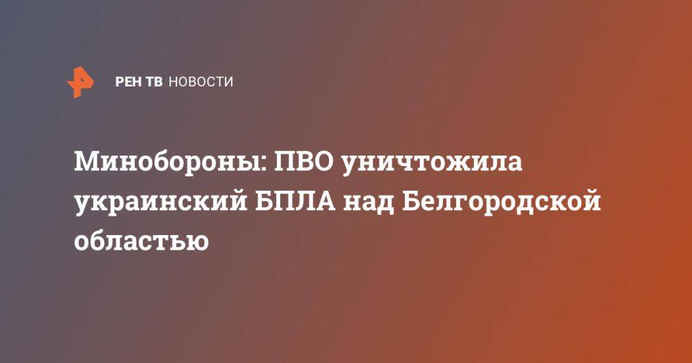 Минобороны: ПВО уничтожила украинский БПЛА над Белгородской областью