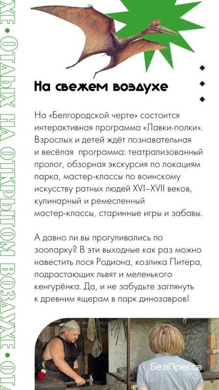 Афиша выходного дня. В эти выходные пройдёт несколько выставок и мастер-классов, спектаклей и концертов. Любители спорта могут насладиться активным отдыхом на пляже «Берега», а для неспешных прогулок можно выбрать белгородский зоопарк