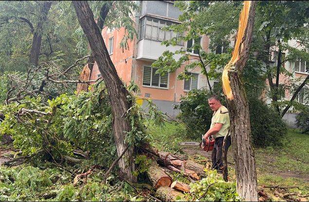 Поваленные деревья, повреждённые автомобили и дома — последствия урагана в Белгородской области