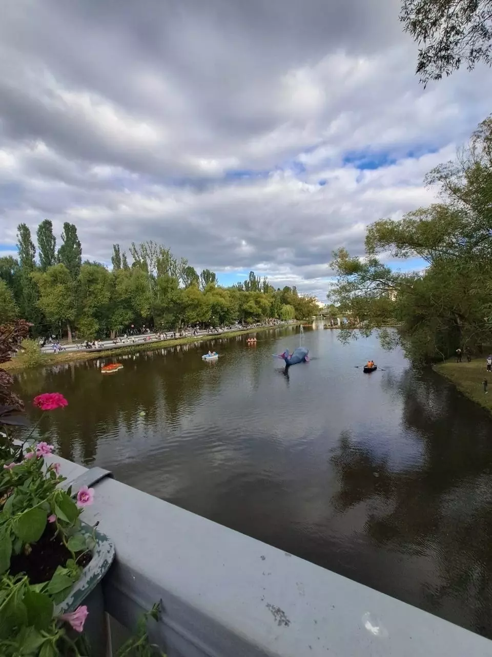 Далекие близкие. Контраст жизни в Курске и Белгороде13